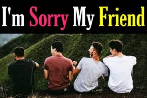 Sorry-Message-and-Quotes-For-Best-Friend-In-Hindi (2)