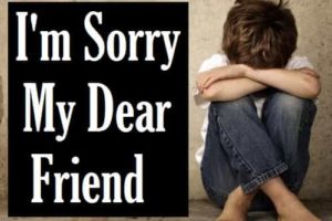Sorry-Message-and-Quotes-For-Best-Friend-In-Hindi (3)