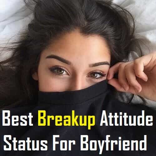 {Best 2024} Breakup Attitude Shayari, Status & Quotes In Hindi