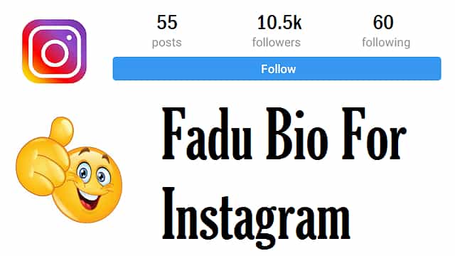 Fadu-Bio-for-Instagram-In-Hindi (1)