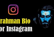 Brahman Bio For Instagram In Hindi