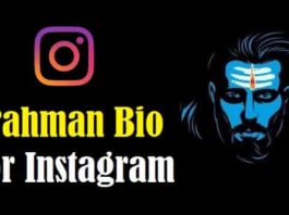 Brahman Bio For Instagram In Hindi