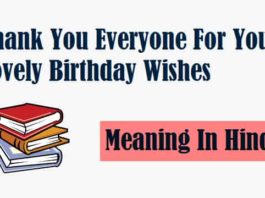 Thank-You-Everyone-For-Your-Lovely-Birthday-Wishes-Meaning-In-Hindi