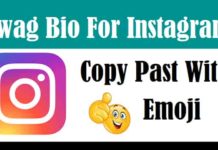 Swag-Bio-For-Instagram-In-Hindi (1)
