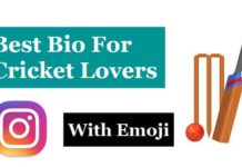 Instagram-Bio-For-Cricket-Lovers (1)