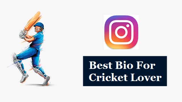 Instagram-Bio-For-Cricket-Lovers (3)