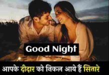 Good-Night-Love-Shayari-In-Hindi-For-Girlfriend (1)