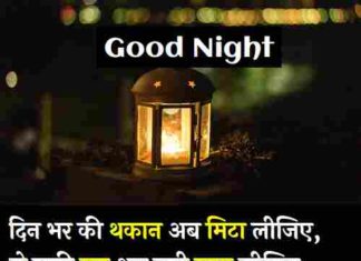Good-Night-Love-Shayari (1)