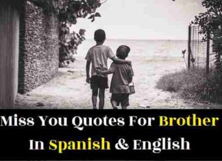 miss-you-quotes-for-brother-in-spanish