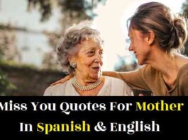 miss-you-quotes-for-mother-in-spanish