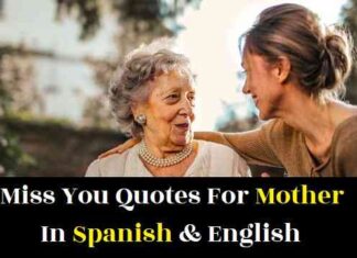 miss-you-quotes-for-mother-in-spanish